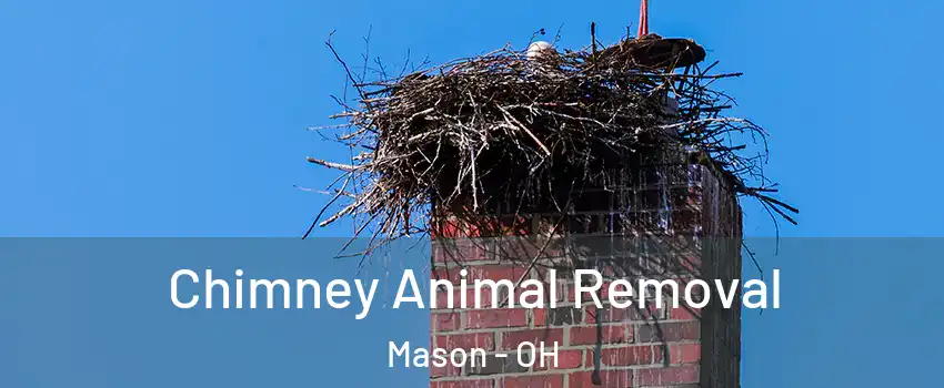 Chimney Animal Removal Mason - OH