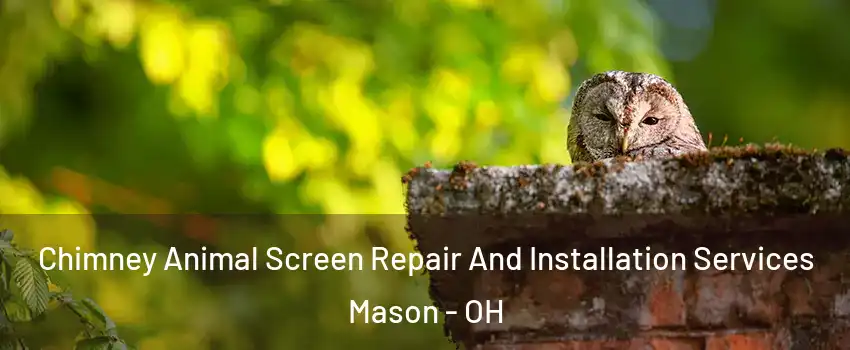  Chimney Animal Screen Repair And Installation Services Mason - OH