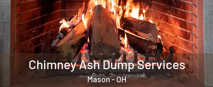  Chimney Ash Dump Services Mason - OH