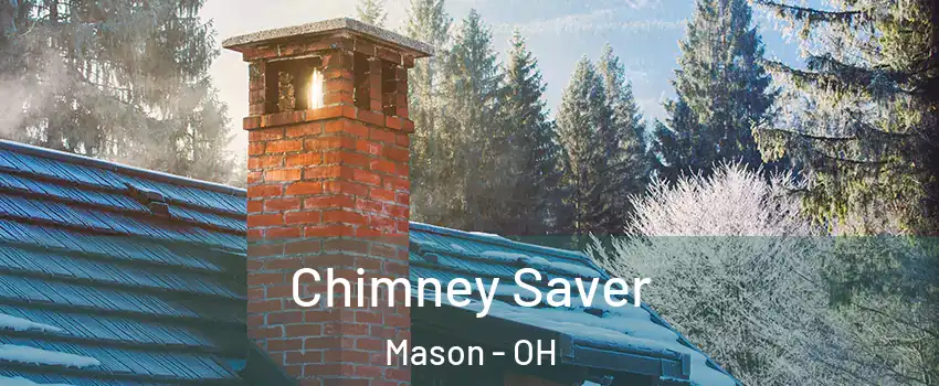  Chimney Saver Mason - OH
