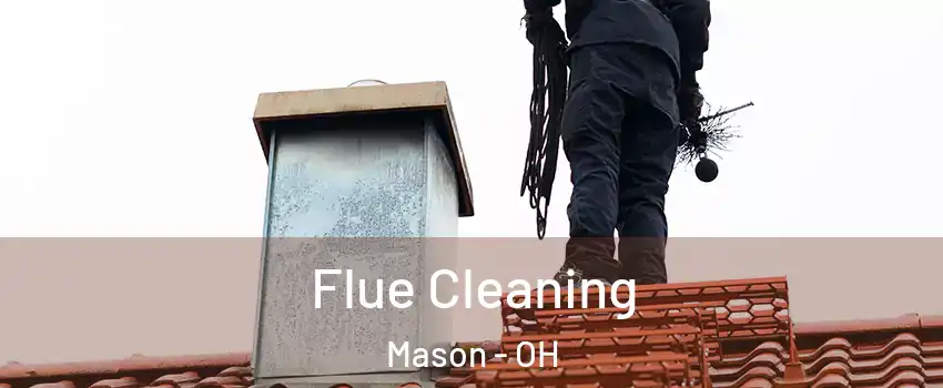  Flue Cleaning Mason - OH