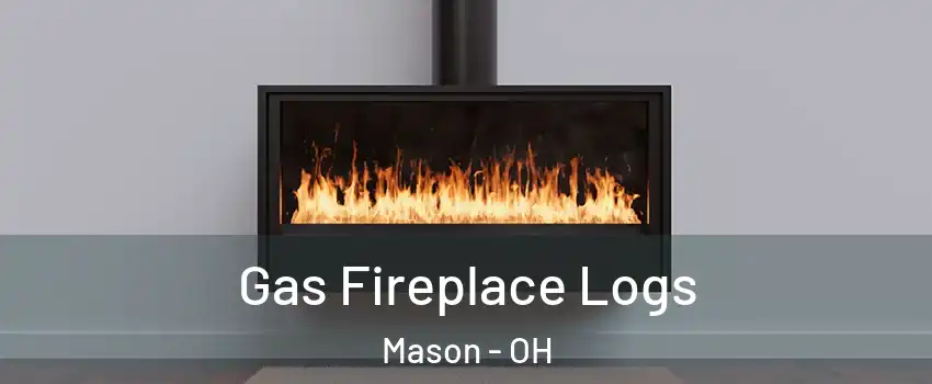  Gas Fireplace Logs Mason - OH